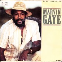 MARVIN GAYE - Sanctified Lady