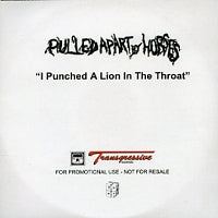 PULLED APART BY HORSES - I Punched A Lion In The Throat