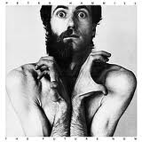 PETER HAMMILL - The Future Now