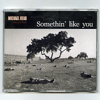 MICHAEL HEAD & THE STRANDS - Somethin' Like You