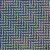 ANIMAL COLLECTIVE - Merriweather Post Pavilion