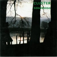CLUSTER - Sowiesoso