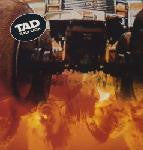 TAD - Salt Lick