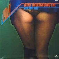 THE VELVET UNDERGROUND - 1969 Velvet Underground Live With Lou Reed