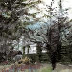 TREMBLING BELLS - Carbeth
