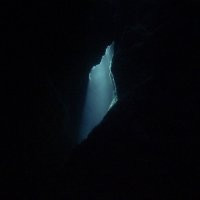 BALAM ACAB - Wander / Wonder