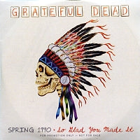 GRATEFUL DEAD - Spring 1990, So Glad You Made It