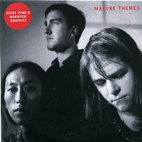 ARIEL PINK'S HAUNTED GRAFFITI - Mature Themes