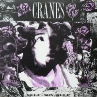 CRANES - Self-Non-Self