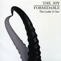 THE JOY FORMIDABLE - This Ladder Is Ours
