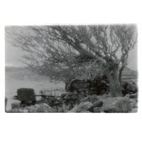 GUANACO - Sky Burials