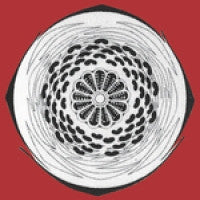BOOSHANK - Unthank005