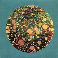 THE HORRORS - Higher