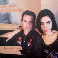 PJ HARVEY AND JOHN PARISH - That Was My Veil