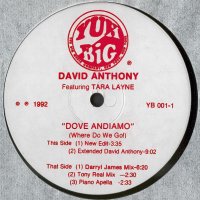 DAVID ANTHONY FEATURING TARA LAYNE - Dove Andiamo