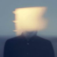 FORRESTS - Wilder