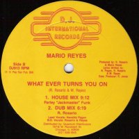 MARIO REYES - What Ever Turns You On