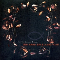 BIG HARD EXCELLENT FISH - And The Question Remains