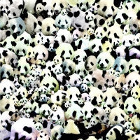 DEATH SENTENCE: PANDA! - Puppy, Kitty Or Both