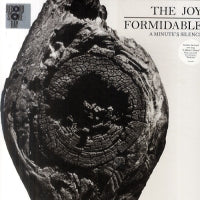 THE JOY FORMIDABLE - A Minute's Silence