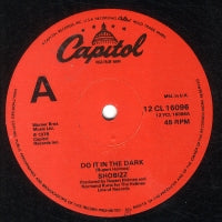 SHOBIZZ - Do It In The Dark / We Are A Music Machine