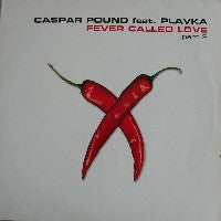 CASPAR POUND FEAT. PLAVKA - Fever Called Love (Part 2)