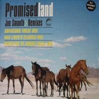 JOE SMOOTH feat. ANTHONY THOMAS - Promised Land