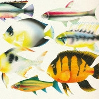 APIENTO & CO. - E.S.P.