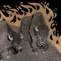 PINE BARRENS - Kingmaker