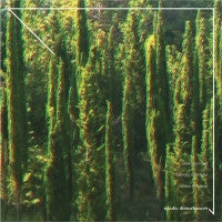 ANNIE MORRAD / BEATRIZ CANTINHO / EMMA OSBOURN - Triadic Disturbances