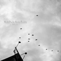 AMBER ASYLUM - Live In Wroclaw