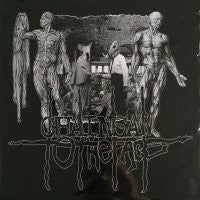 CHAINSAW TO THE FACE - Agonizing Pain And Perpetual Misery 2004-2009