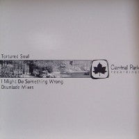 TORTURED SOUL - I Might Do Something Wrong