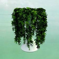 ERRORS - Lease Of Life