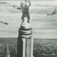 ECHOLOGIST - Storming Heaven