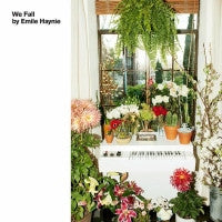 EMILE HAYNIE - We Fall
