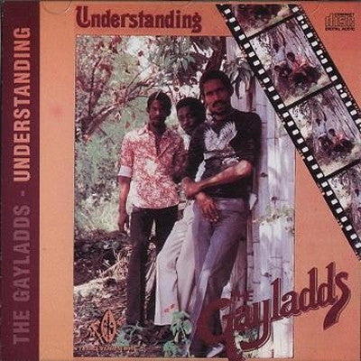 THE GAYLADDS - Understanding