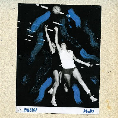 PTAKI - Przelot