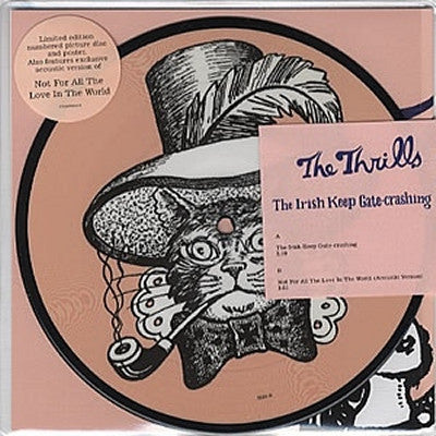 THE THRILLS - The Irish Keep Gate-Crashing