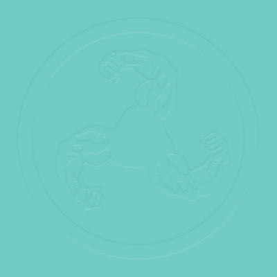 BICEP / HAMMER - Lyk Lyk