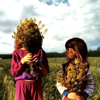 OPEN HAND - Honey