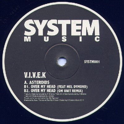 V.I.V.E.K. - Asteroids
