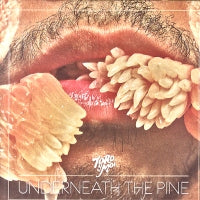TORO Y MOI - Underneath The Pine