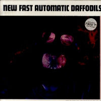 NEW FAST AUTOMATIC DAFFODILS - Pigeonhole