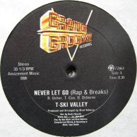 T-SKI VALLEY / GRAND GROOVE BUNCH - Never Let Go
