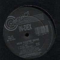 IN-DEX - Now You're Gone