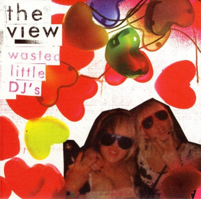 THE VIEW - Wasted Little DJ's