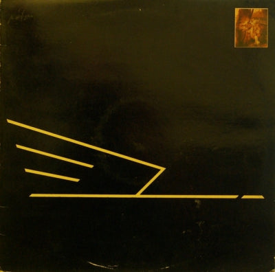 THE WILD SWANS - Revolutionary Spirit