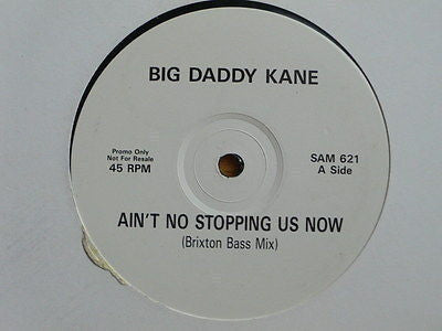 BIG DADDY KANE - Ain't No Stopping Us Now