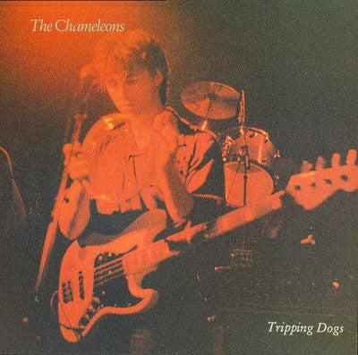 THE CHAMELEONS - Tripping Dogs